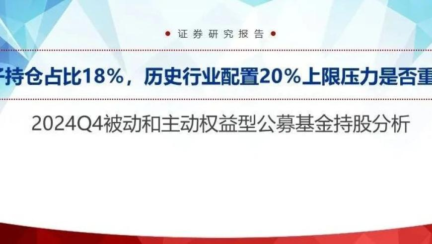 2025澳门资料大全正板,黄景瑜前妻点名张艺上,机构预测与落实方法揭秘_工具版V3.91