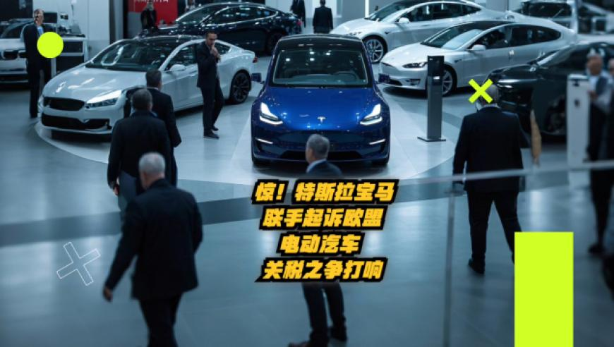 366管家婆如何开帐,中国发现全球最古老鸟类,完美答案解释落实_GM版V3.77