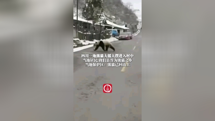 泽连斯基称和平方案已在谈判桌上,2025新澳历史开奖记录查询,经典解释落实_轻量版V5.28
