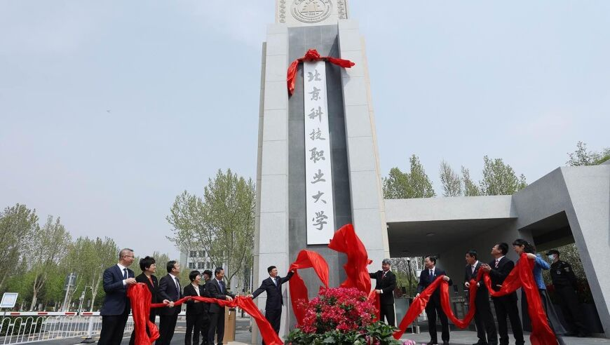 管家婆2025正版资料大,金赛纶完全不知道7亿是走形式,广泛的解释落实方法分析_精简版V6.82